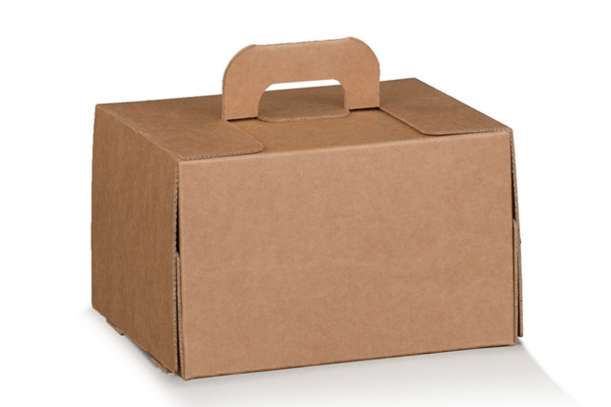 Scatola Food Delivery